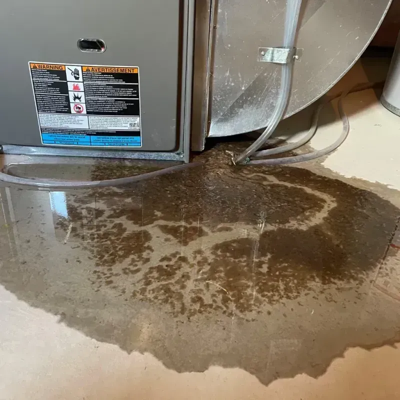 Appliance Leak Cleanup in Clear Lake, SD